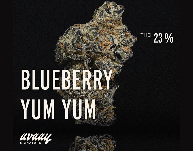 avaay SIGNATURE 23/1 BYY Blueberry Yum Yum