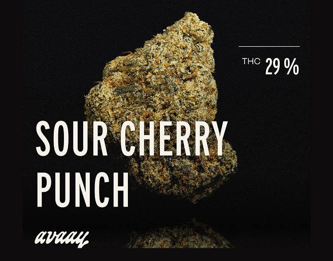 avaay 29/1 SCP Sour Cherry Punch