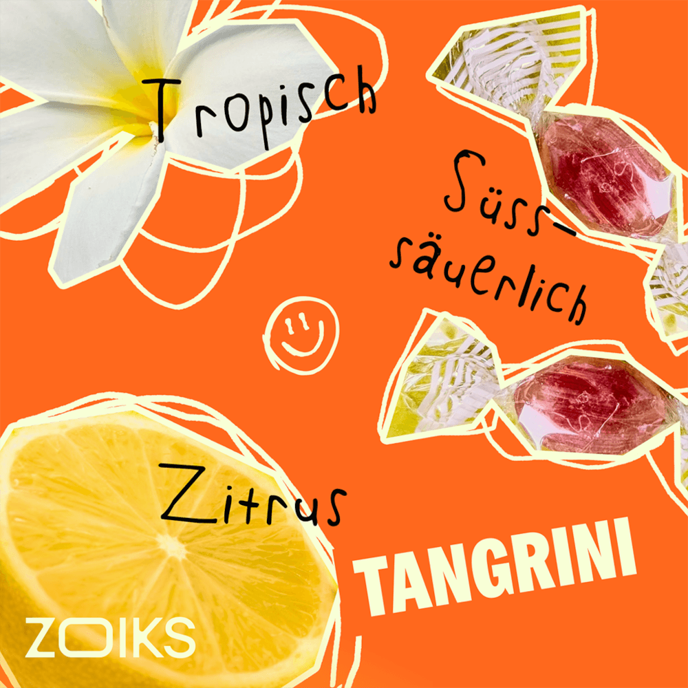 ZOIKS 22/1 TG Tangrini