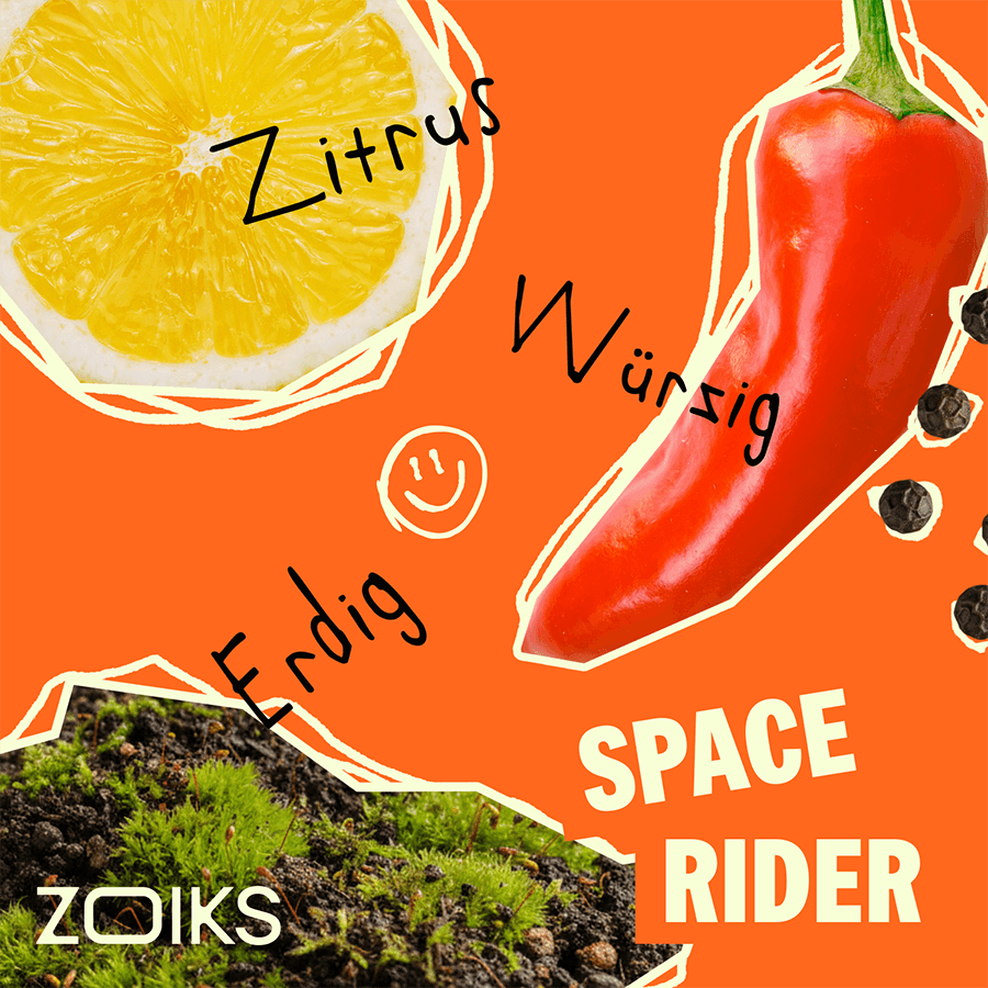 ZOIKS 26/1 SR Space Rider
