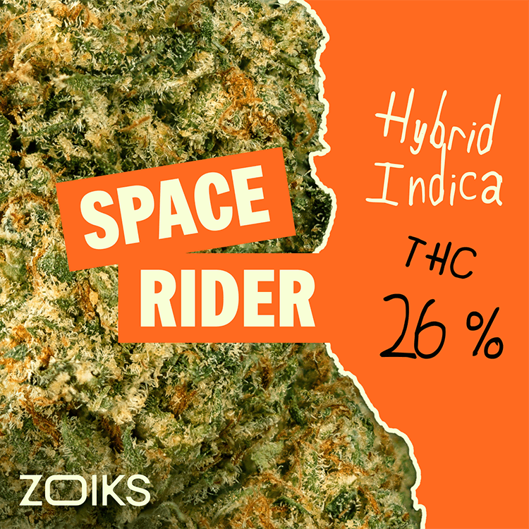 ZOIKS 26/1 SR Space Rider
