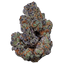 22/1 Amici BH Blueberry Headband
