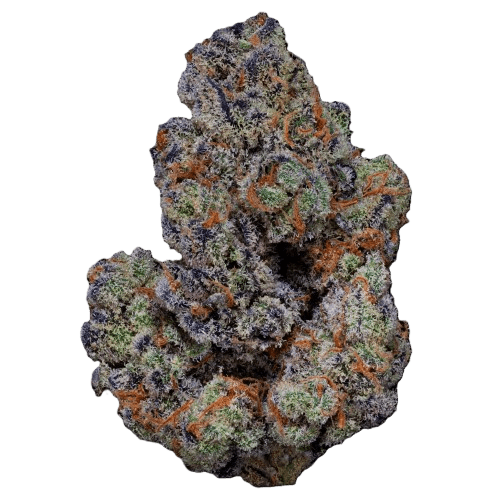 22/1 Amici BH Blueberry Headband