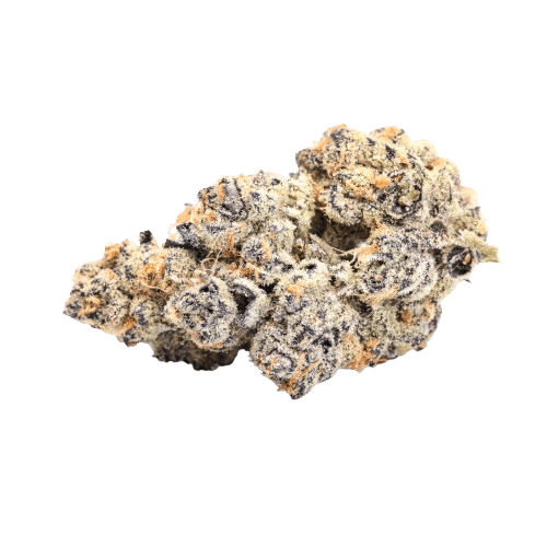 30/1 Amici CM Cereal Milk