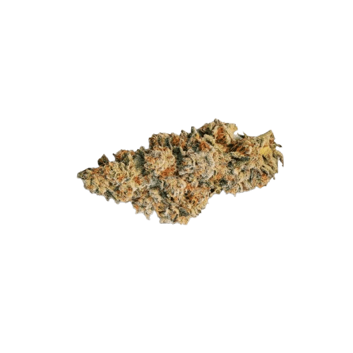 30/1 AMICI SP Scotti´s Purps