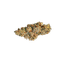 30/1 AMICI SP Scotti´s Purps