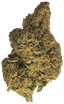 32/1 Amici SLH Super Lemon Haze