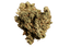 420 Balanced Basic PT SLG Super Lemon G