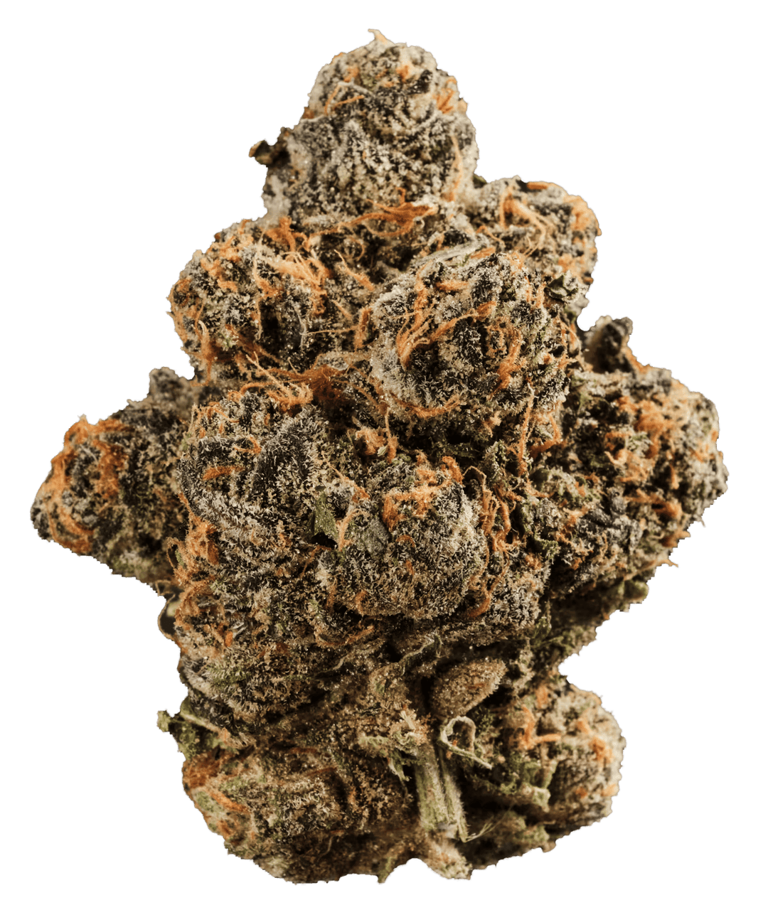 420 Compound 22/1 GAP Gastro Pop