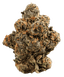 420 Compound 22/1 GAP Gastro Pop