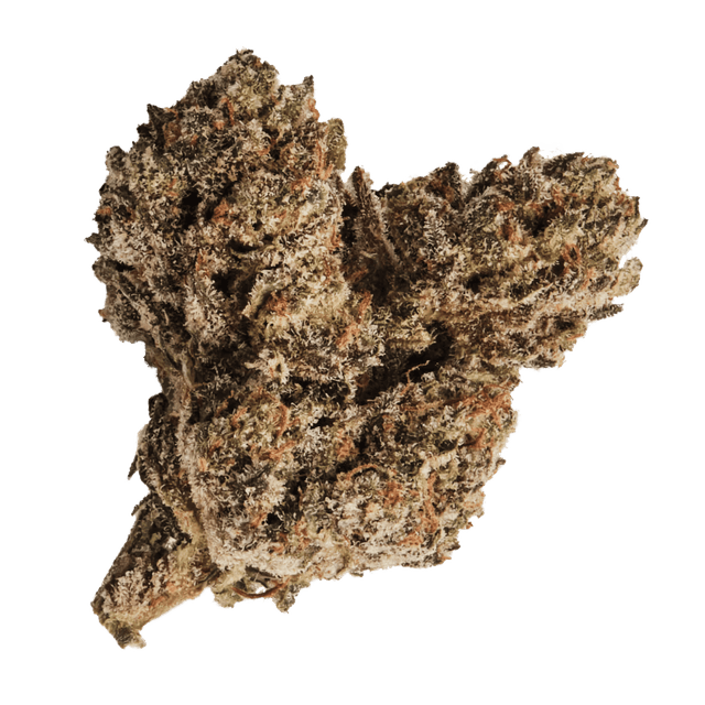 420 Compound 25/1 PT TGY Tigerz Eye