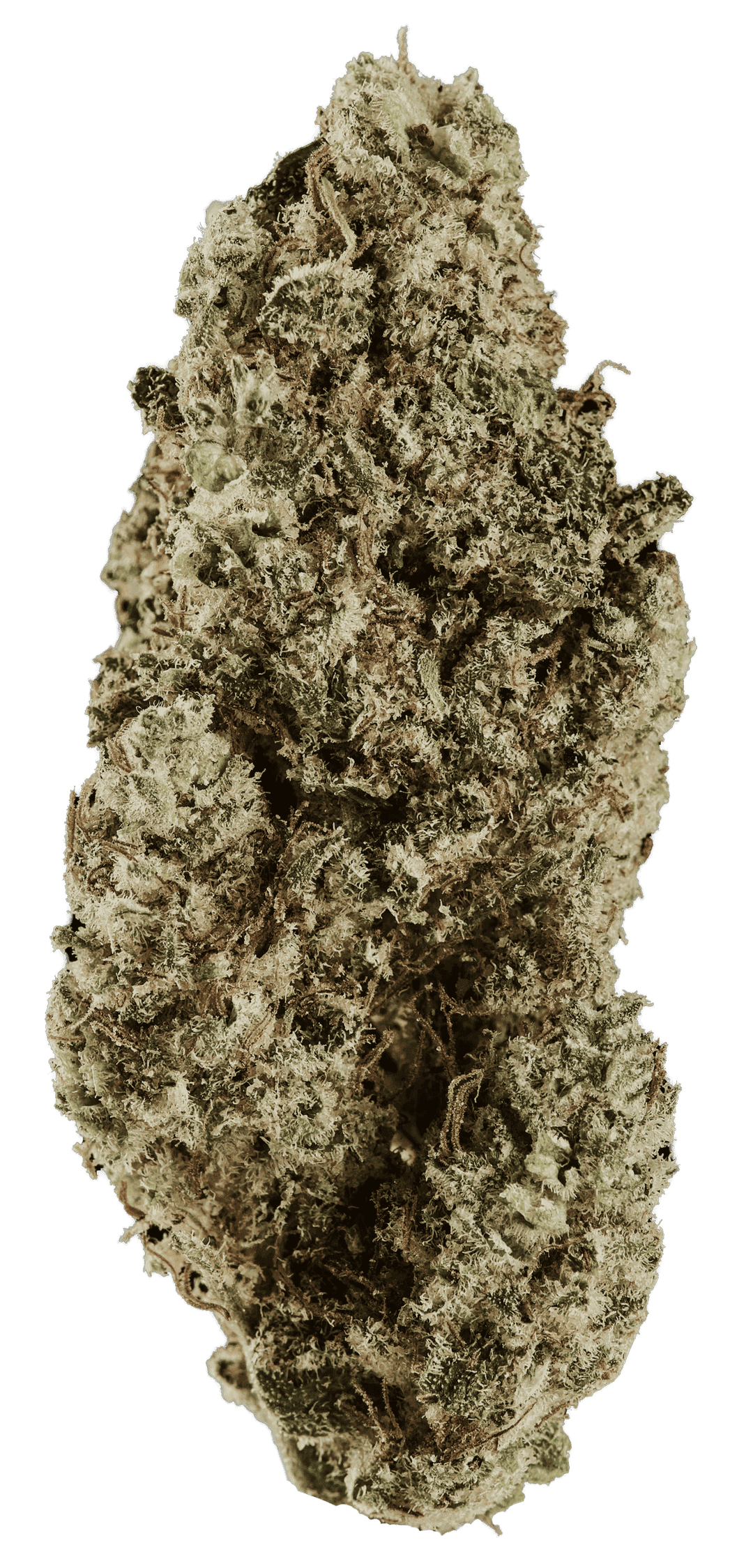 420 Compound 25/1 RPV Rose Gold Pave