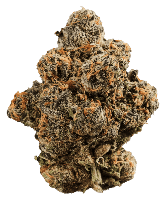 420 Compound 33/1 GAP Gastro Pop