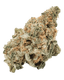 420 Evolution 22/1 CA MAC