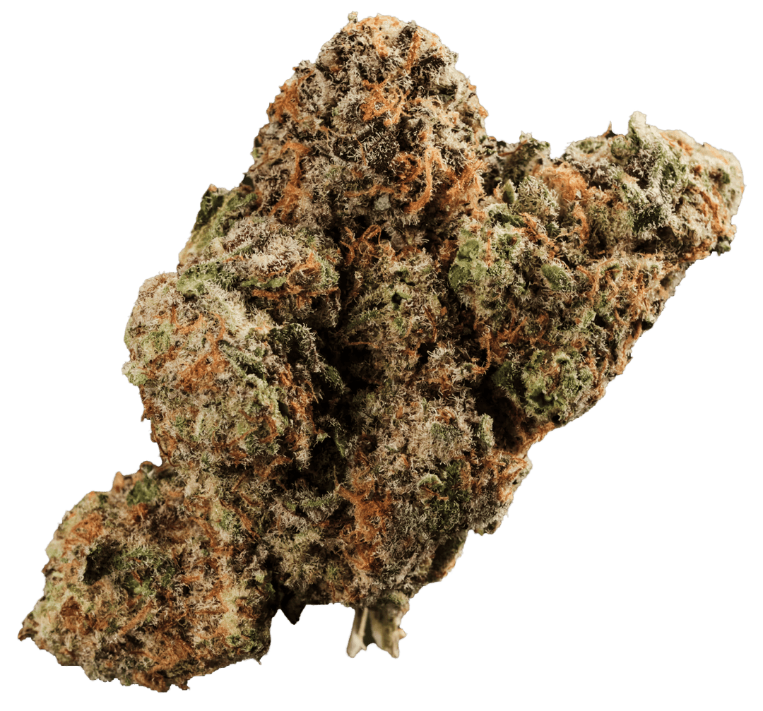 420 Evolution 22/1 CA MMI Miracle Mint