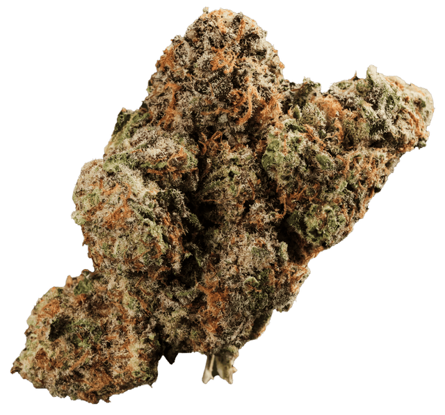 420 Evolution 22/1 CA MMI Miracle Mint