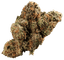 420 Evolution 25/1 CA MMI Miracle Mint