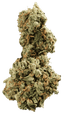 420 Evolution 30/1 CA GMO Cookies