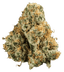 420 Evolution 30/1 CA PCH Peach Chementine