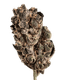 420 Natural 15/1 CA TRP Tropicana Cookies