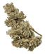 420 Natural 22/1 CA GG4 Gorilla Glue