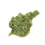 420 Natural 25/1 CA GG4 Gorilla Glue