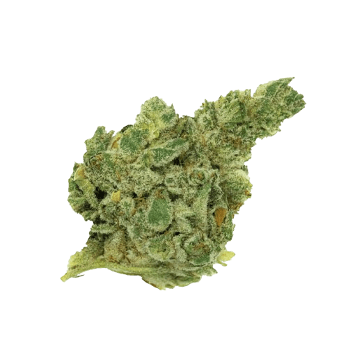 420 Natural 25/1 CA GG4 Gorilla Glue