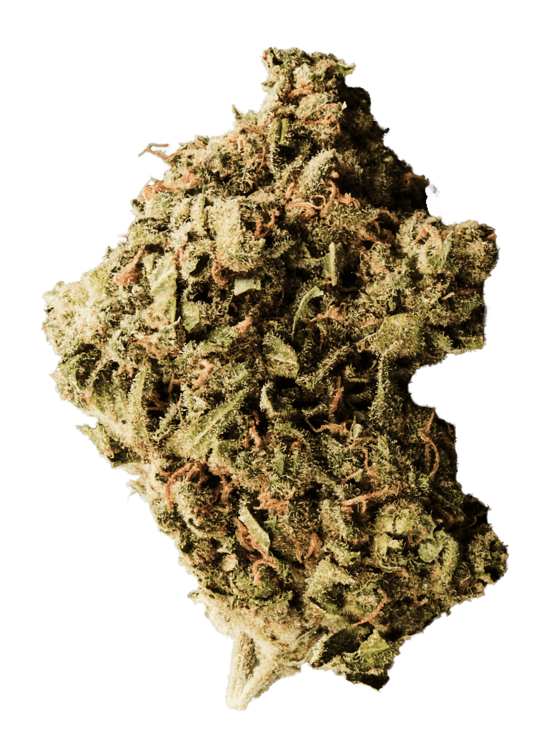 420 Sungrown 25/1 CA ZRP Zour Apple