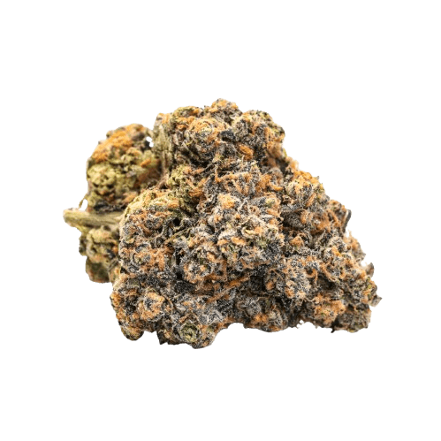 Amici 25/1 YHE Cookies Gelato YaHemi