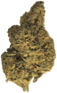 Amici 29/1 SLE Sour Lemon OG