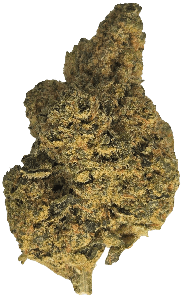 Amici 29/1 SLE Sour Lemon OG
