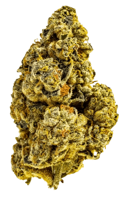 AphriaRX THC25 CTB Cactus Breath