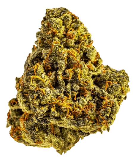 AphriaRX THC25 AMH Amnesia Haze