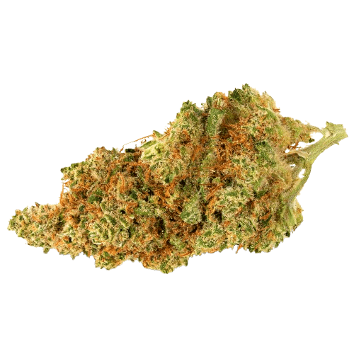 Aurora 22/1 Delahaze