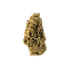 avaay 12/8 CAN Cannatonic