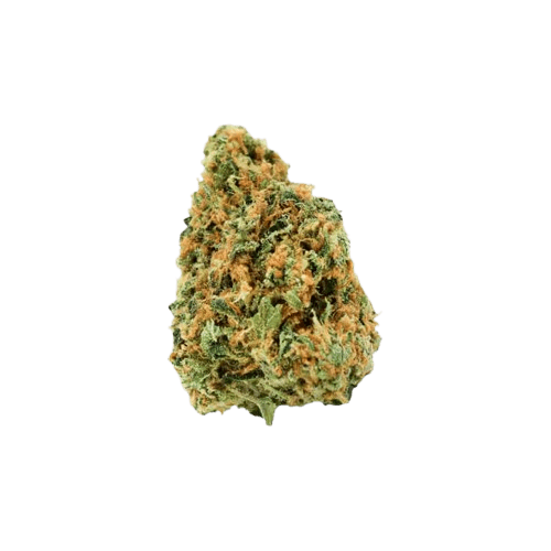 avaay 20/1 CK Critical Kush