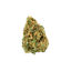 avaay 20/1 CK Critical Kush