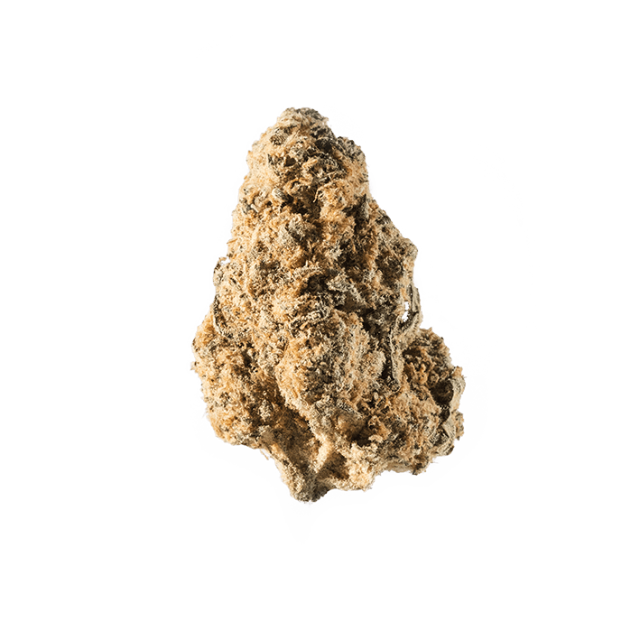 avaay 20/1 RG Royal Gorilla