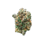 avaay 22/1 BCP Black Cherry Punch