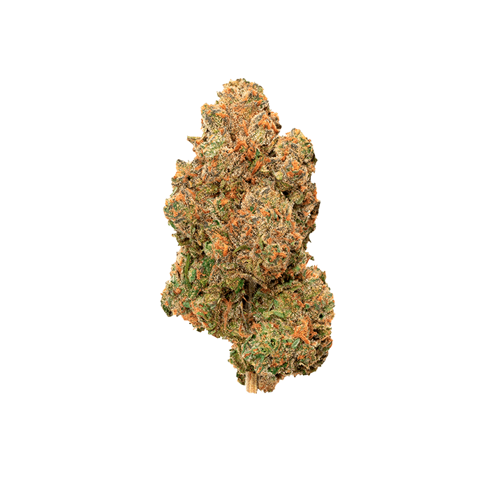 avaay 22/1 PNK Pineapple Nuken