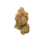 avaay 22/1 PNK Pineapple Nuken