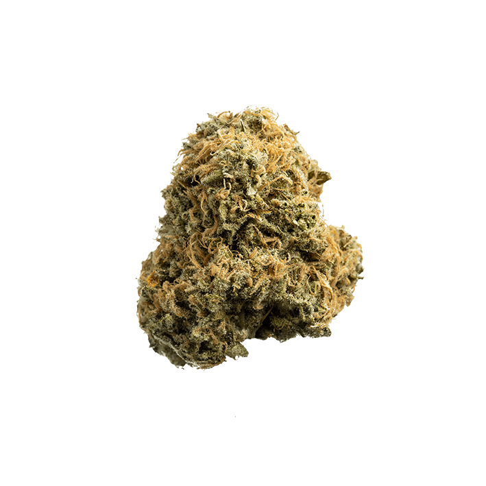 avaay 23/1 BKR Black Krush