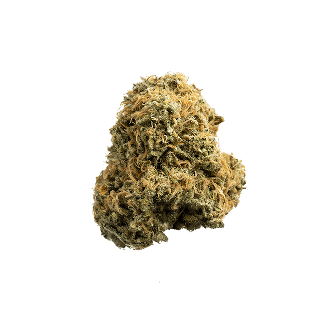 avaay 23/1 BKR Black Krush