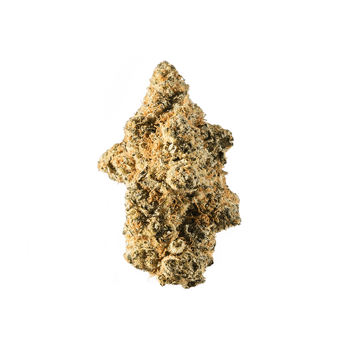 avaay Signature 23/1 WB Waffle Bites