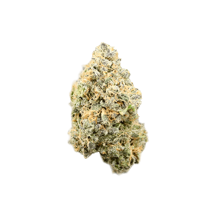 avaay 24/1 BPM Baby Pam