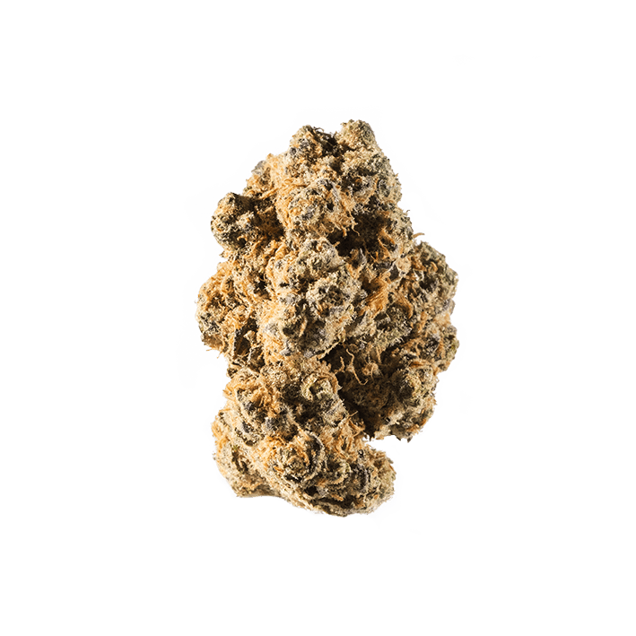 avaay 24/1 DID Do-Si-Dos