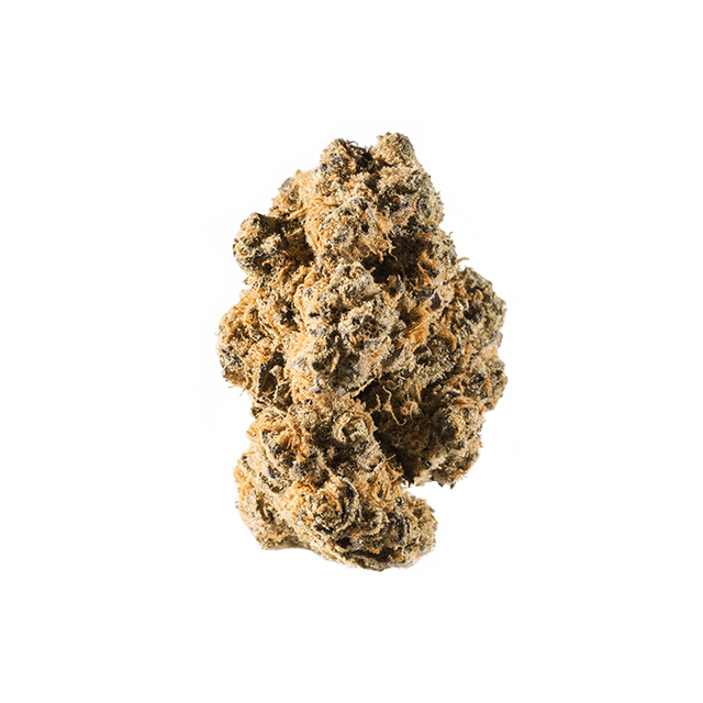 avaay 24/1 DID Do-Si-Dos