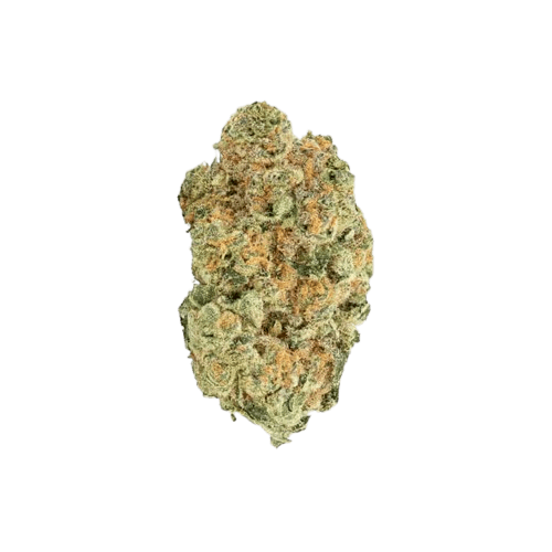 avaay 24/1 MIM Midnight Mimosa