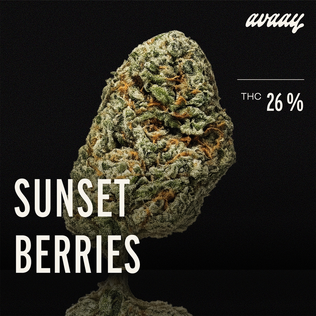 avaay 26/1 SB Sunset Berries