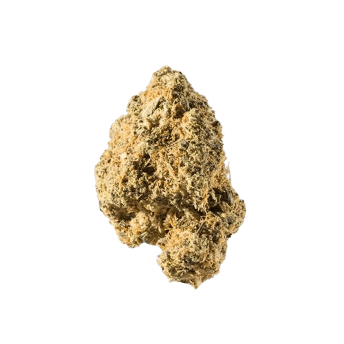 avaay 26/1 SK Sour Kush